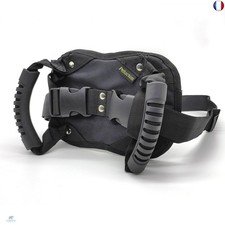 Pelucton Poignée Passager