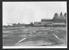 1941  --  MISE EN CULTURE DES