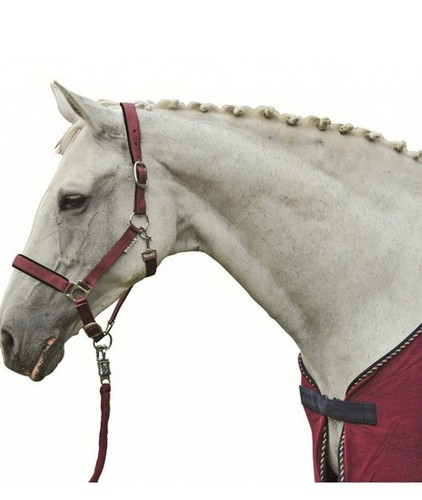 Linge lit pour chevaux - de,