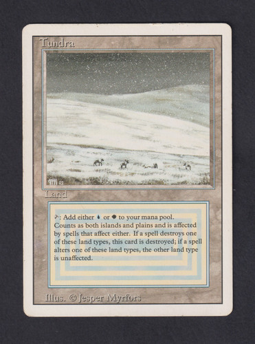 Magic mtg tundra revised - magic,