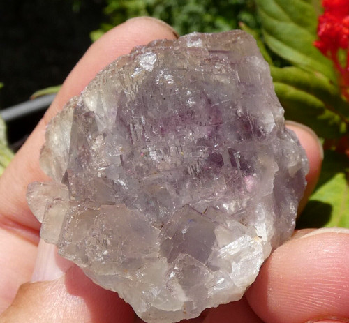 Fluorite fluorine violet - fluorine,