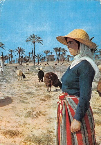 Tunisia kerkena - tunisia,