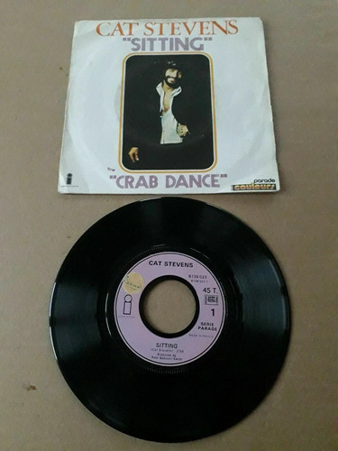 Cat stevens sitting - t,