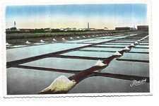 17  ILE DE RE  MARAIS SALANT