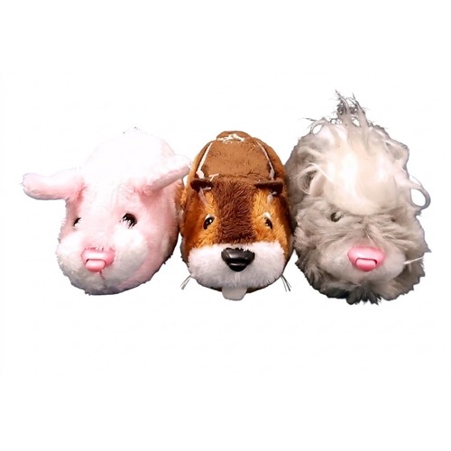Zhu pets lot 3 - of,