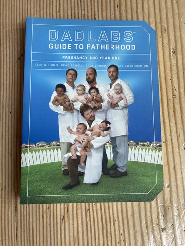 Dadlabs guide fatherhood - to,
