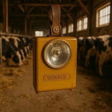 Lampe WONDER Authentique