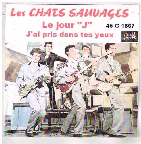 Les chats sauvages est le - chats, c'est