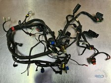 Faisceau électrique principal Moto Guzzi 1200 Breva 2008 à 2011