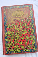 Hetzel UN DROLE DE VOYAGE