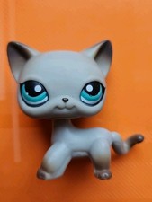 ✨️LPS #391 LITTLEST PETSHOP AUTHENTIC CHAT EUROPEEN EUROPEAN  Shorthair Cat✨️