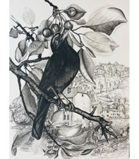 BUFFON (Comte de). Les Chants du printemps. Burins originaux de Tavy Notton.