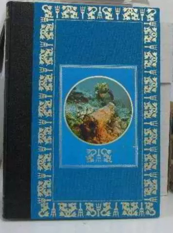 Trésor englouti - un,