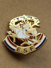 Insigne, broche médaille ski