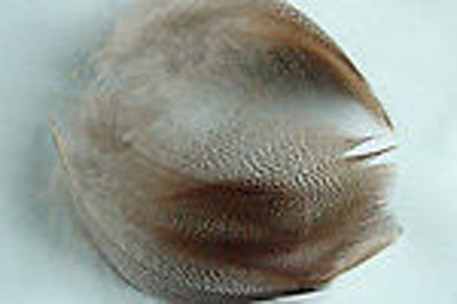 Petites plumes bronze - petites,