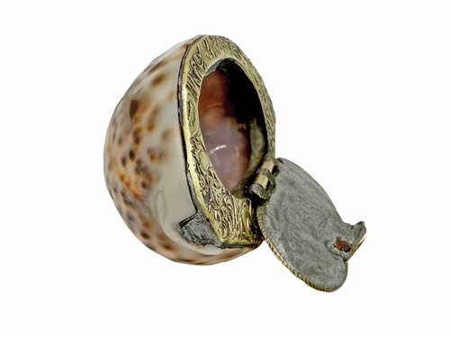 Tabatière coquillage xixe - tabatière,