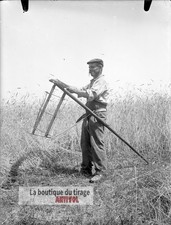 Moisson traditionnelle, campagne, plaque verre, photo ancienne, négatif 9x12 cm
