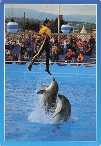 Antibes marineland - 6,
