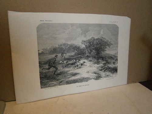 Planche gravure animaux - planche/gravure,