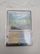 Grève inondée - Flooded Strand - Magic mtg - NM JAP * 1 - fetchland