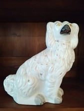 Ancien Chien Staffordshire en