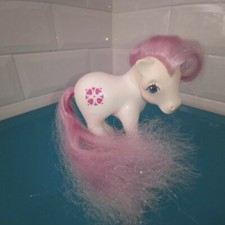 19.12.1.3 Mon Petit poney