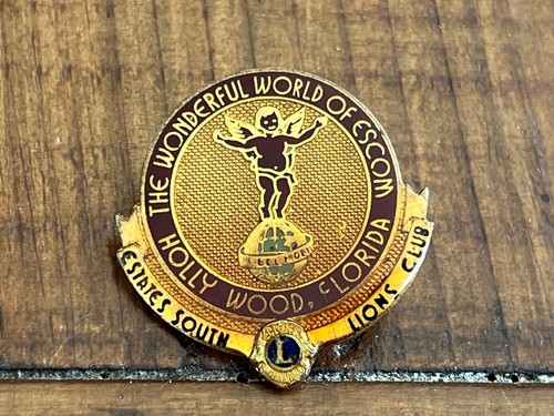 Pin pins lions club ange - pins,