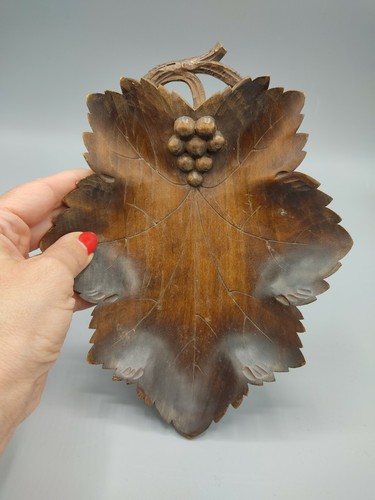 Feuille vigne vide - vide, poche