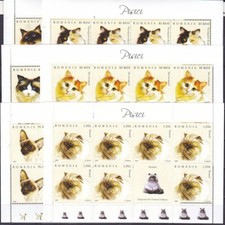 Roumanie 2006 Chats Norvégien Forêt Turc Van Siamois Ragdoll Persan Birman 4