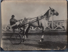 France, Paris, Concours Général Hippique, Trotteur Français, vintage silver prin