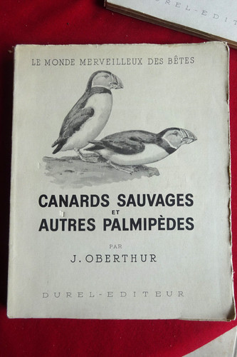 Chasse oberthur canards - oberthur,