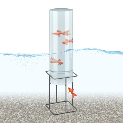 Tour poisson decoration bassin - tour,