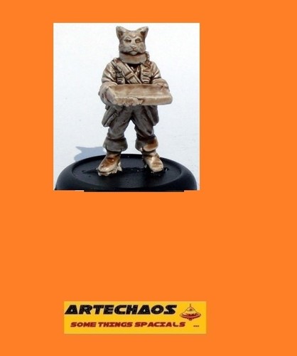 Homme chat felys avec - homme,