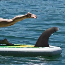 Aileron central de planche de