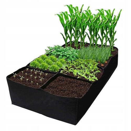 Potager inspection jardin - potager,