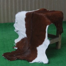 Authentique Marron Foncé Peau