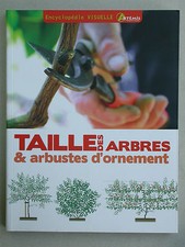 Taille des arbres & arbustes d'ornement - Paysagiste - Artémis 2013 Jardin 