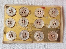 Rare petite plaque boutons anciens en nacre  1 cm  lot de 12 n°43