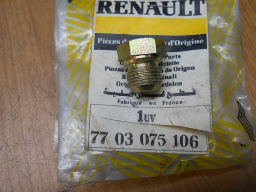 Winnebago lesharo plug - plug, ?