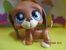 Petshop Chien Basset Hound  #808