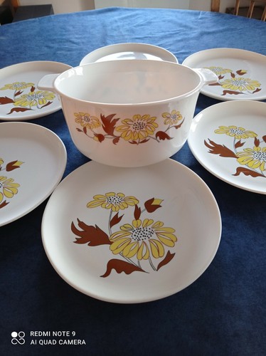 Lot assiettes 1 plat - assiettes, +