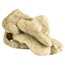 Terrarium Décoration