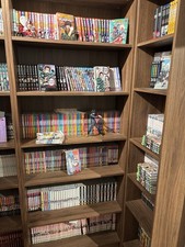 Intégrales Mangas