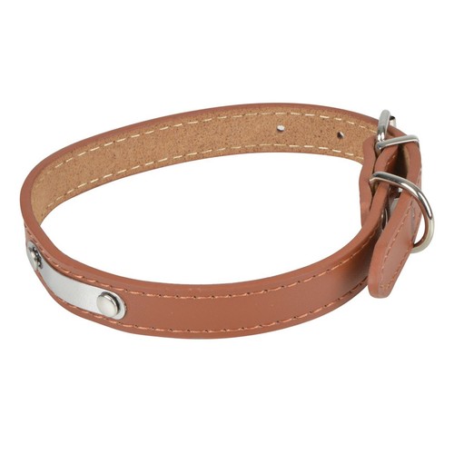Collier pour chien cuir - pour,