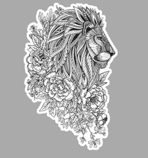 Tete lion roi - lion,