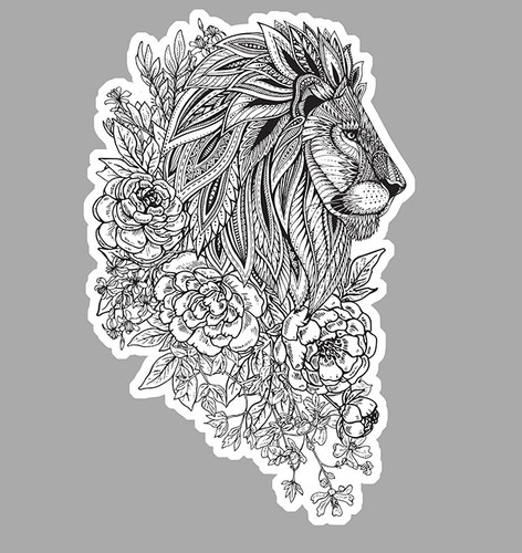 Tete lion roi afrique - tete, de