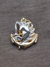 PIN'S  REDUCTION  -  INSIGNE  BERET  PARA  COLONIAL