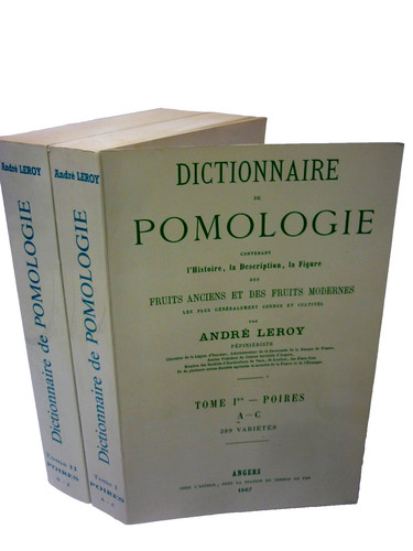 Dictionnaire pomologie - pomologie,
