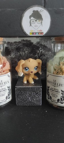 Littlest petshop pet - pet, lps