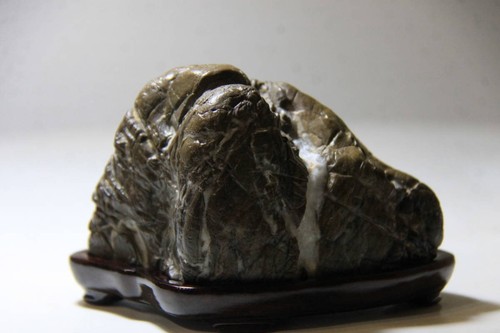 Suiseki bonseki bonsaï - suiseki,